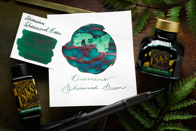 Diamine Sherwood Green ink bottles with a black LAMY pen on wooden background with ferns