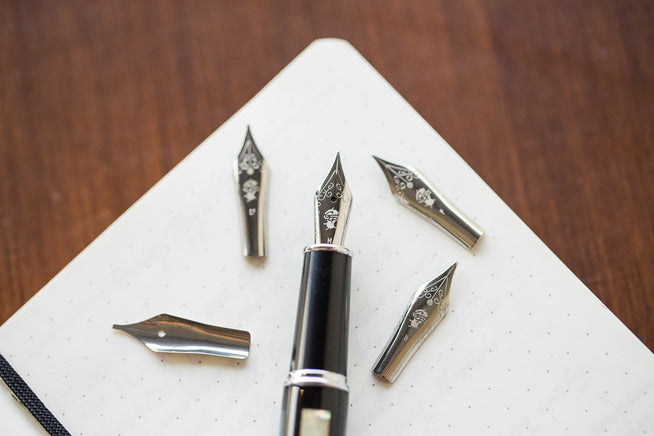 Goulet Nibs and a pen