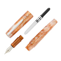 BENU DailyMate Fountain Pen - Relaxing Sunday