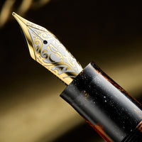 Delta DV Original Mid Size Fountain Pen - Glow Up Oro