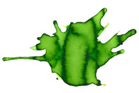 Diamine Meadow - 30ml Bottled Ink