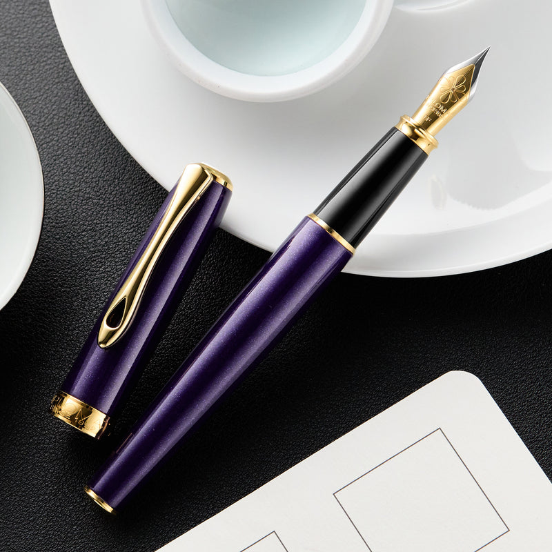 Diplomat Excellence A2 Fountain Pen - Violet Rain/Gold