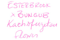Esterbrook X BUNGUBOX Kachofugetsu Flower - 30ml Bottled Ink (Limited Edition)