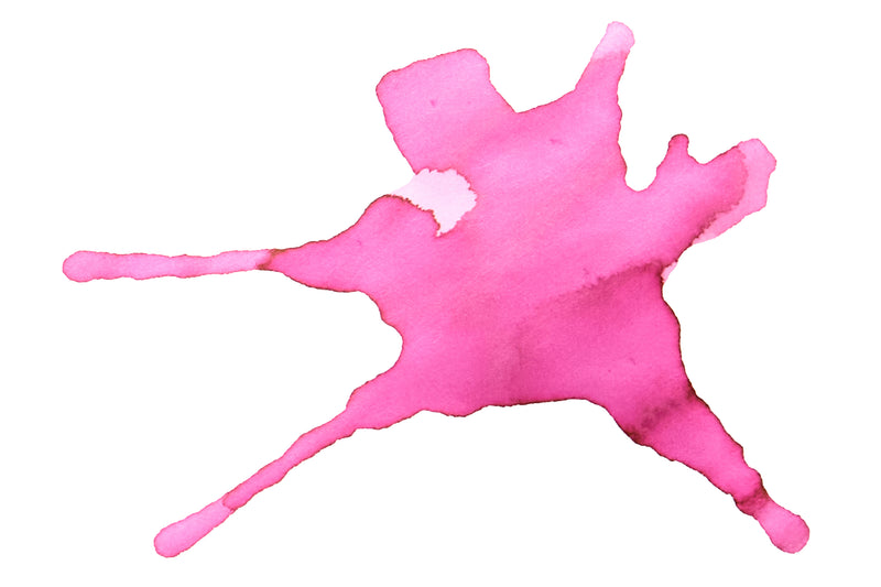 Esterbrook X BUNGUBOX Kachofugetsu Flower - 30ml Bottled Ink (Limited Edition)