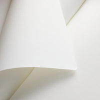 Goulet Notebook w/ 52gsm Tomoe River Paper - Regular TN, Blank