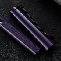 LAMY safari Fountain Pen - meteora (special edition)