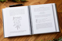 Sull's Manual of Advanced Penmanship