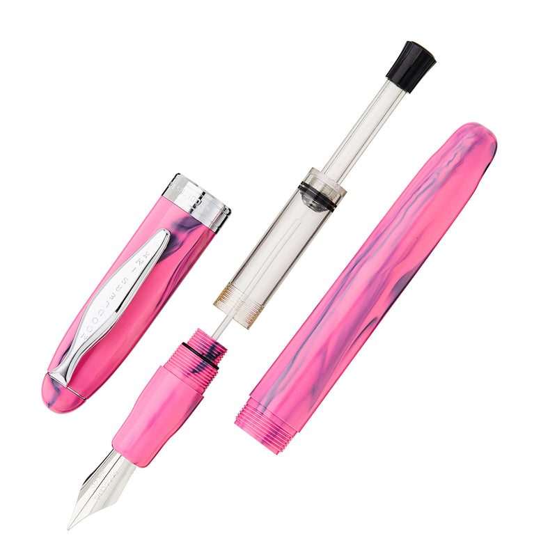 Noodler's Ahab Flex Fountain Pen - Charon's Panther