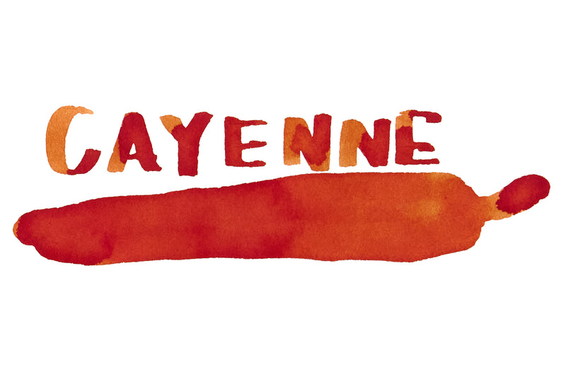 Noodler's Cayenne - Ink Sample