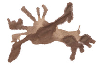 Noodler's Polar Brown - 4.5oz Bottled Ink with Free Charlie Pen