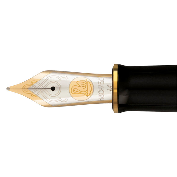 Pelikan M1000 Fountain Pen - Raden Stardust Hoshikuzu (Limited Edition)