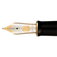 Pelikan M1000 Fountain Pen - Raden Stardust Hoshikuzu (Limited Edition)