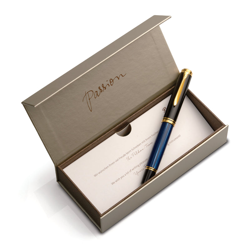 Pelikan M1000 Fountain Pen - Black/Blue
