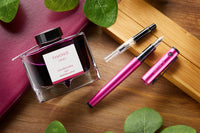 Pilot Explorer Fountain Pen - Pink