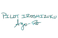 Pilot Iroshizuku Syo-ro - Ink Sample
