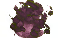 Pilot Iroshizuku Syun-gyo - Ink Sample