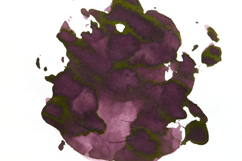 Pilot Iroshizuku Syun-gyo - Ink Sample