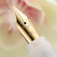 Pilot Kakuno Fountain Pen - Rosy Dusk