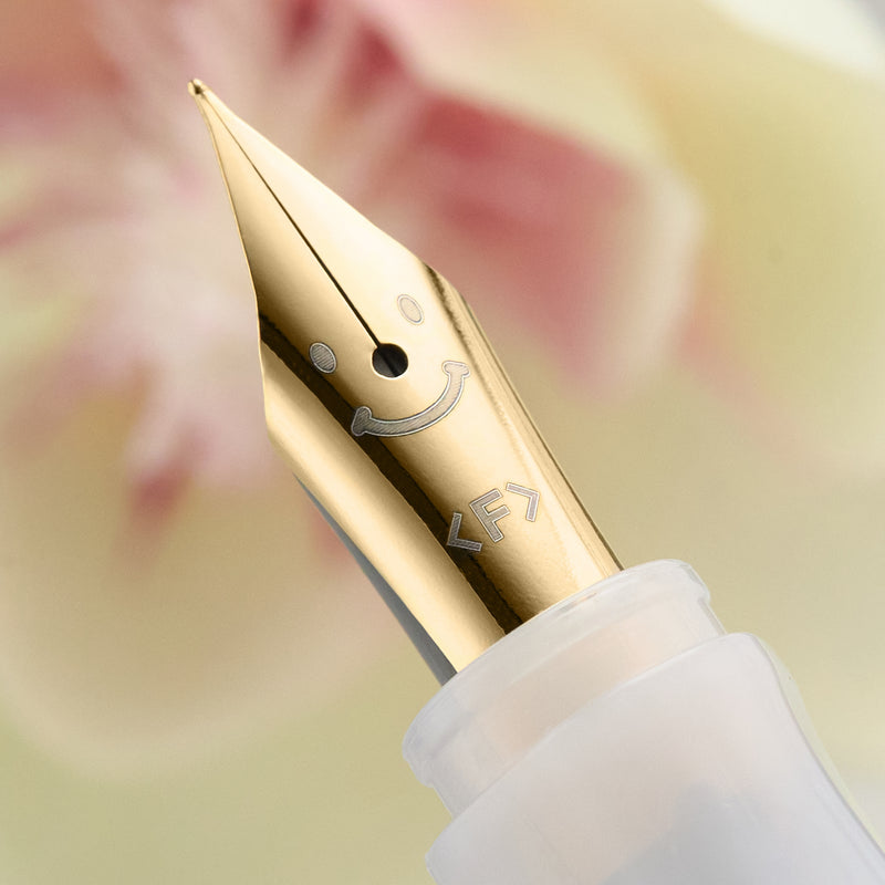 Pilot Kakuno Fountain Pen - Rosy Dusk