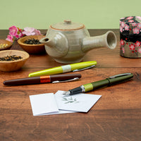 Pilot Metropolitan Fountain Pen - Deep Green (Limited Edition)