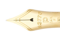 Platinum #3776 Century Fountain Pen - Bourgogne/Gold