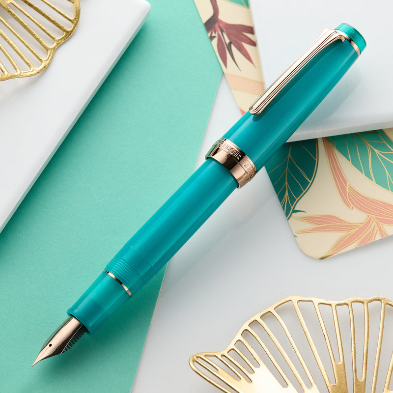 Sailor Pro Gear Fountain Pen - Lucky Charm 2
