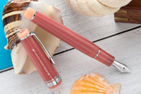 Sailor Pro Gear Fountain Pen - Syvash (Limited Edition)