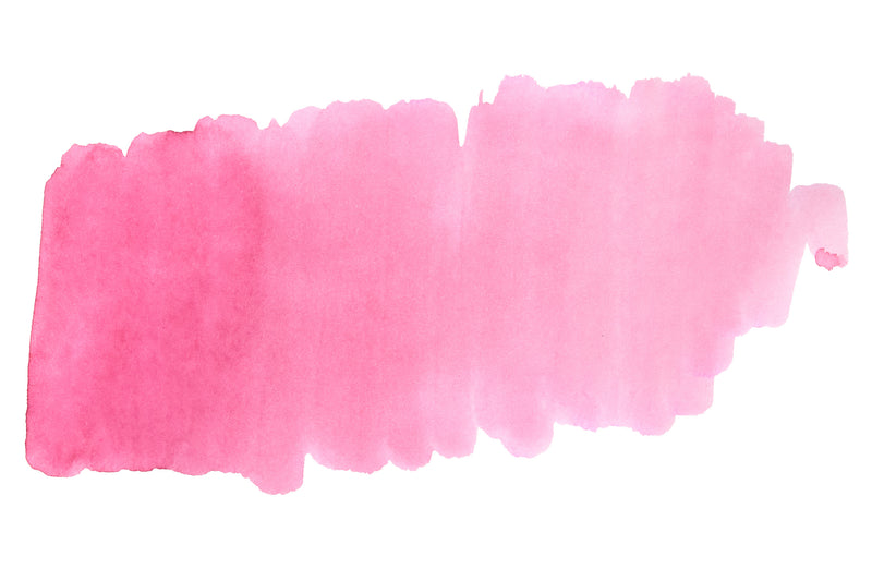 Sailor Shikiori Sakura-mori - 20ml Bottled Ink