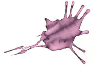 Sailor Shikiori Yozakura - 20ml Bottled Ink