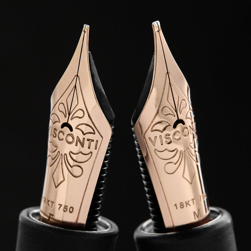 Visconti Homo Sapiens Fountain Pen - Bronze Age (Custom 18k Nib Grind)