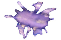 Wearingeul A Dream Within A Dream - Ink Sample