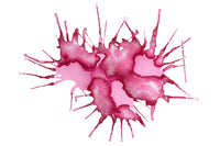 Wearingeul The Elf of the Rose - Ink Sample