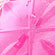 Pink Lady
