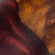 Spectra Fusion Burgundy