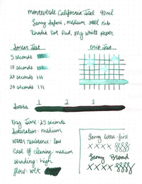 Monteverde California Teal - 90ml Bottled Ink