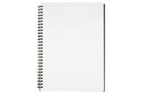 Maruman Mnemosyne N194 B5 Notebook - Lined