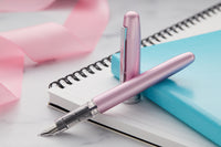 Platinum Plaisir Fountain Pen - Pink