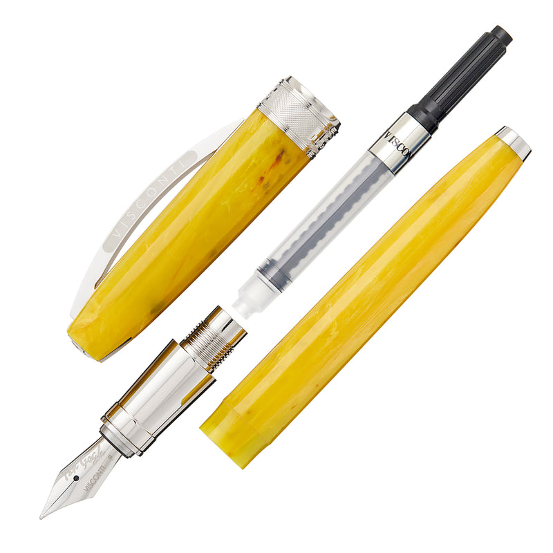 Visconti Van Gogh Fountain Pen - Sunflowers